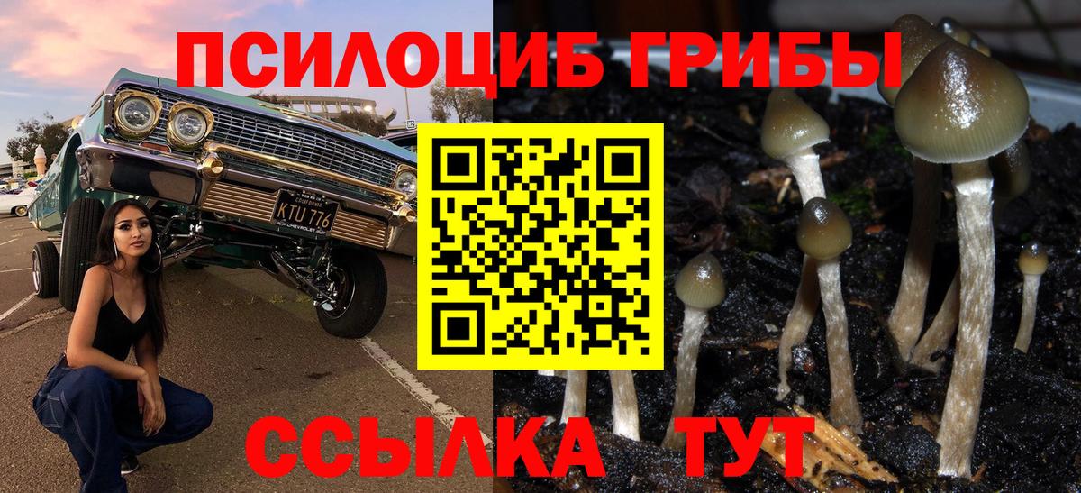 Псилоцибиновые грибы Psilocybine cubensis  Вход с VPN  Обь  Галлюциногенные грибы Magic Shrooms 