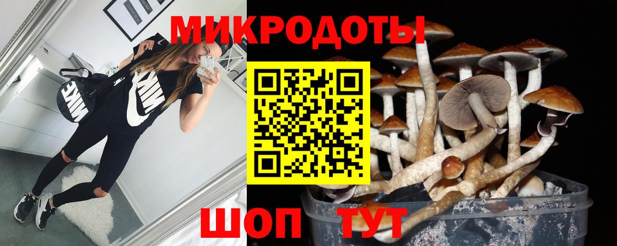 Псилоцибиновые грибы мицелий Обь